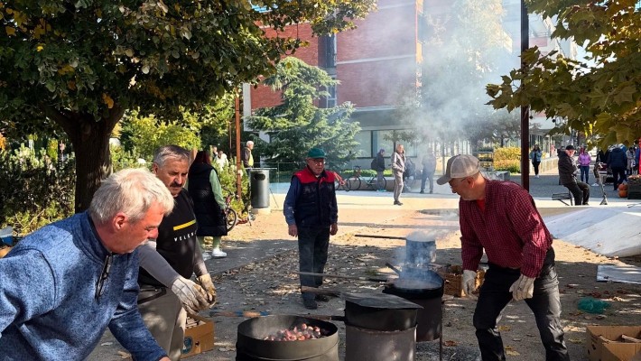 TRADICIONALNI KOSTANJEV PIKNIK